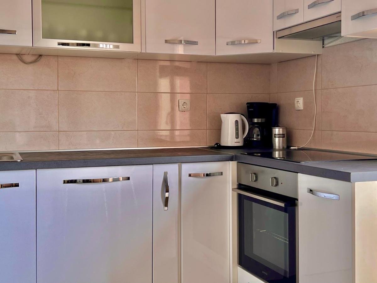 Conte Čikara Apartment Saricevi Buitenkant foto
